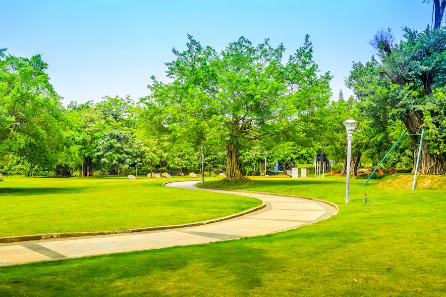 Green Space and Landscape